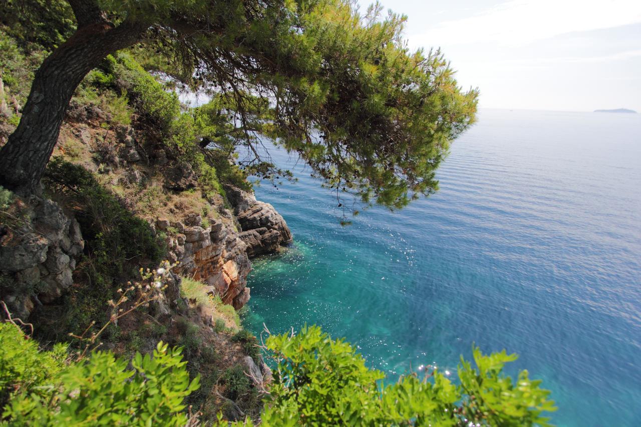 Kalamota Beach House Gornje Celo Екстериор снимка